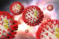 新型冠状病毒(2019-nCoV)肺炎疫情法律实务专题