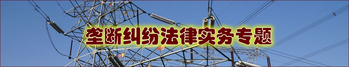 深圳垄断纠纷律师实务专题